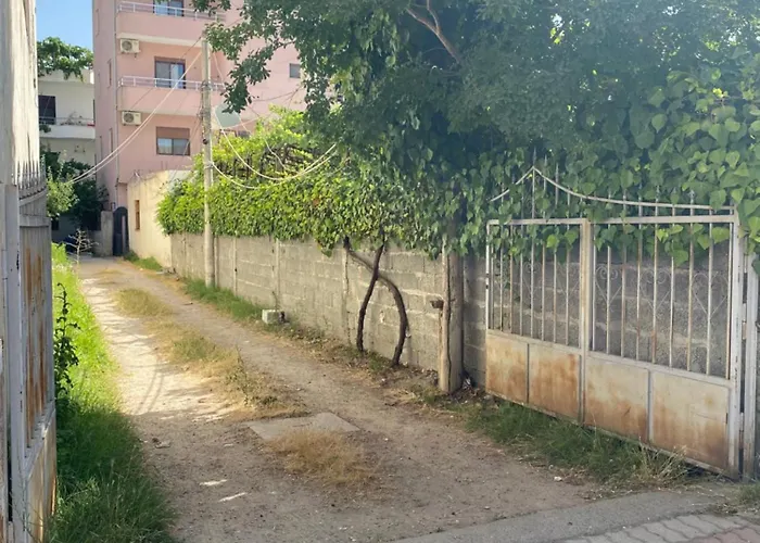 Violca * Durrës